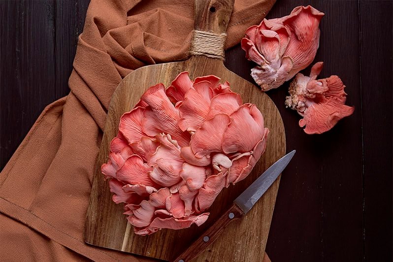 la-mandraula-rosa_0001_00